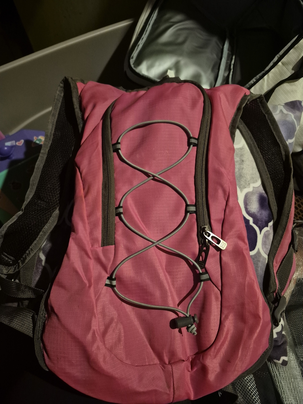 Men's Magenta Daypack Backpack with Front Bungee